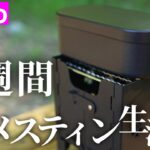 ダイソーで買った770円の黒メスティンで1週間生活【キャンプ飯のレシピ】
