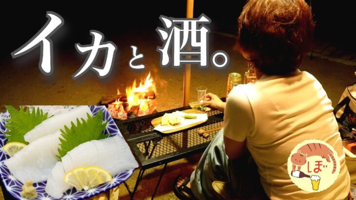 【釣ったイカと】ぼっち女のソロキャンプ 【雨でひとり】ating Tuna in a Rainy Camp[Japanese style izakaya at camp]