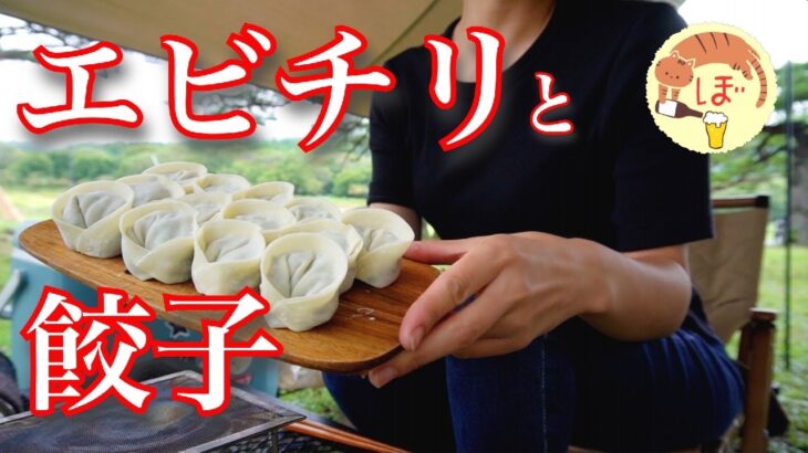 【エビチリ】ぼっち女のソロキャンプ 【餃子】Shrimp and dumplings[Japanese style izakaya at camp]