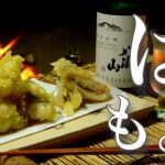 【はも天ぷら】ぼっち女のソロキャンプ 【半車中泊】tempura of pike conger eel[Japanese style izakaya at camp]