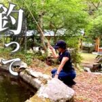 【バイク旅】ぼっち女のソロキャンプ 【釣り】rainbow trout fishing[solo camping japan girl]