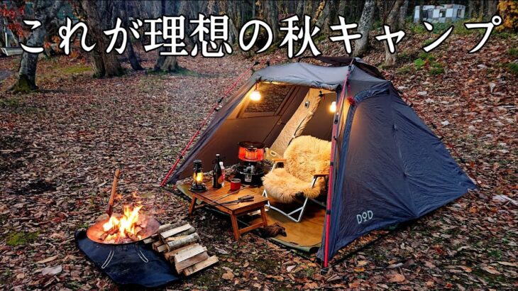 【ソロキャンプ】これが理想的な秋キャンプではないでしょうか！　皆様に大事な報告があります。【十和田湖】【秋田県】