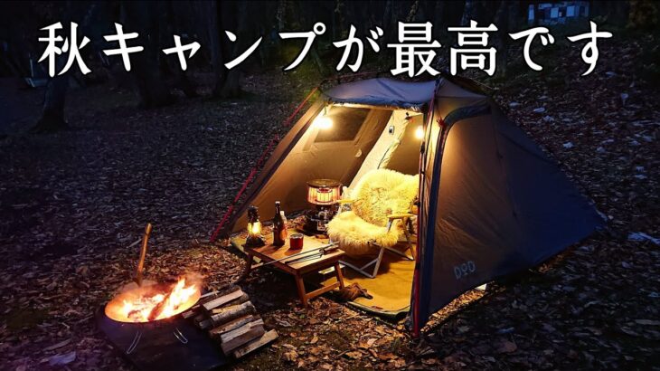 【ソロキャンプ】秋のキャンプが最高なんですが秋田県はクマさんだらけです！　寒いので冬装備で楽しみます。【十和田湖】【秋田県】