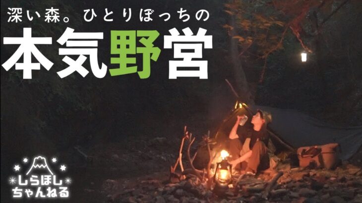 【女ひとり森で１泊２日】自分史上1番のハイレベルキャンプ場で〇〇に怯えながら本気野営してみた