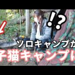 【無骨女子ソロキャンプ】キャンプ中にカワイイ子猫がやってきた！Freedom 野営 軍幕 茨城