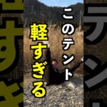 【知らないと損】ソロキャンプに最適な超軽量テント「Lanshan 1 pro」を紹介【Night Cat】