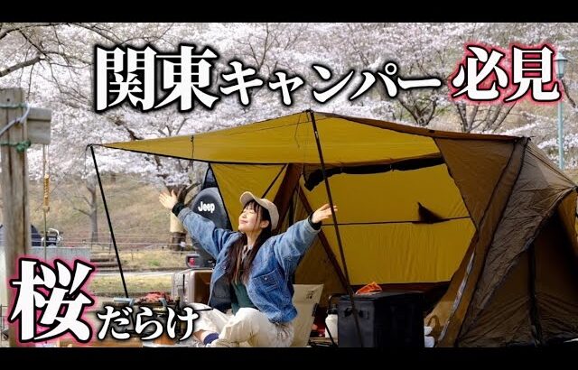 【ソロキャンプ】ここ知ってる？キャンプ場内桜だらけ お花見キャンプ