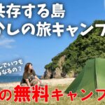 【猫だらけ】最高すぎる無料キャンプ場だけど女性ソロキャンプにはおすすめしない理由【女の徒歩キャンプ・男木島】