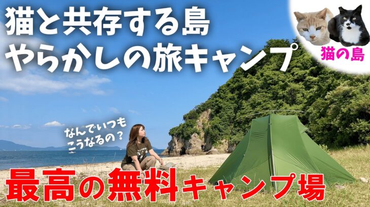 【猫だらけ】最高すぎる無料キャンプ場だけど女性ソロキャンプにはおすすめしない理由【女の徒歩キャンプ・男木島】