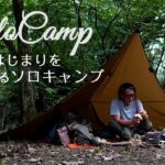 【ソロキャンプ】秋のはじまりを感じる、静かな森でタープ泊/鉄山キャンプ場
