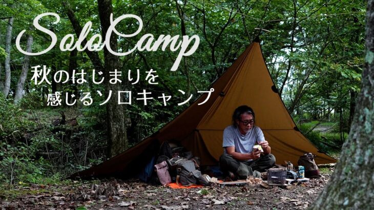 【ソロキャンプ】秋のはじまりを感じる、静かな森でタープ泊/鉄山キャンプ場