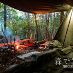 夏が終わる森。秋へと移りゆく虫の声と涼夜の山奥で3日間のソロキャンプ。