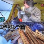 -5℃冬 海の京都で雪中ソロキャンプ女子泊【徒歩】