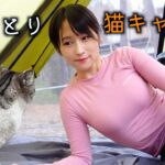 【女ひとり】猫だらけのキャンプ場が仕事の疲れを癒してくれた…