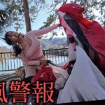 【女ひとり】※暴風でテント崩壊…ついて無さすぎるズボラ女のソロキャンプ【徒歩キャンプ】