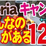 【セリアこんなのがあるキャンプアイテム12選 】