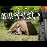 ソロキャン中に保護猫がやってきた。癒しの猫キャンプ【ソロキャン】