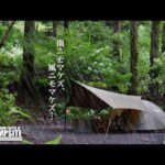 【豪雨と強風】ツーリングドームST雨風仕様で過ごす初夏のソロキャンプ in 椿荘オートキャンプ場