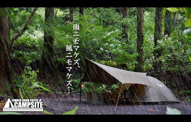 【豪雨と強風】ツーリングドームST雨風仕様で過ごす初夏のソロキャンプ in 椿荘オートキャンプ場