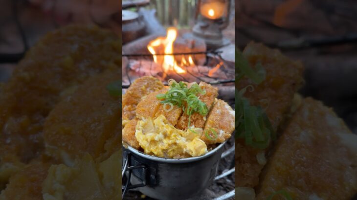 【キャンプ飯】雨の森でカツ丼#ソロキャンプ #レシピ #asmr