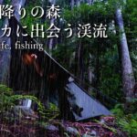 軍幕でソロキャンプ｜テントに叩きつけるどしゃぶりの雨音は心地よい｜渓流つりで野生のカモシカに出会う｜あてらの森