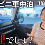 【軽車中泊】コンビニで車中泊って実際どうなの？→1泊したら意外すぎた【初ローソンRVパーク】
