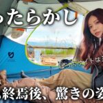 【ほったらかしキャンプ場】ブーム終焉後の意外な姿に驚愕…【ぼっちサイト/ソロキャンプ】