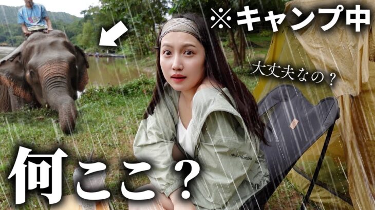 命の危険を感じたソロキャンプ【女ひとり】