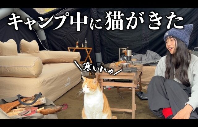 キャンプをしていたら猫がストーブに暖まりに来ました。【ソロキャンプ】