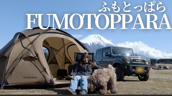 【女ソロキャンプ】富士山の麓、愛犬と迎える春。| カレーとラーメン| Best View:Mt. Fuji🇯🇵