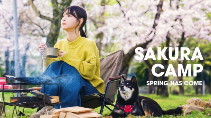 【女子ソロキャンプ】満開の桜の下で春キャンプ｜お花見で食べた桜えび塩焼きそばが最高すぎた｜SAKURA spring camp