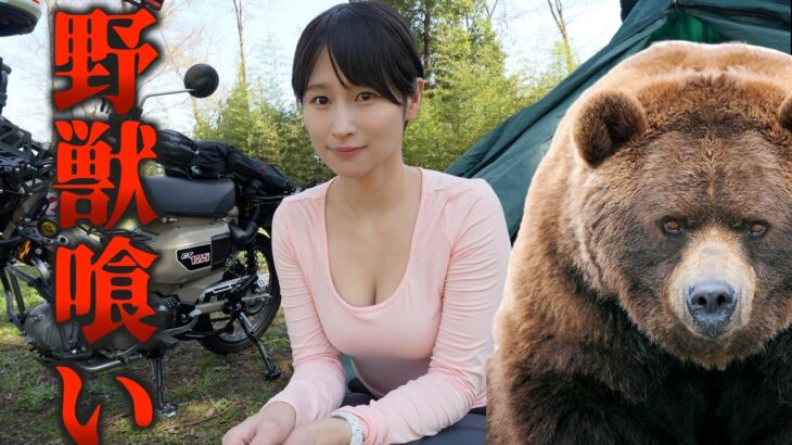 【獣食い】病み上がりでヒグマと蝦夷鹿を喰らう