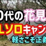 ５０代の花見はULソロキャンプ🔥桜の下で乾杯🍻軽さこそ正義！