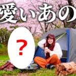 可愛いあの女子と再会！満開の桜お花見キャンプ【成田ゆめ牧場オートキャンプ場】