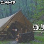 予想外/大荒れの山でソロキャンプ