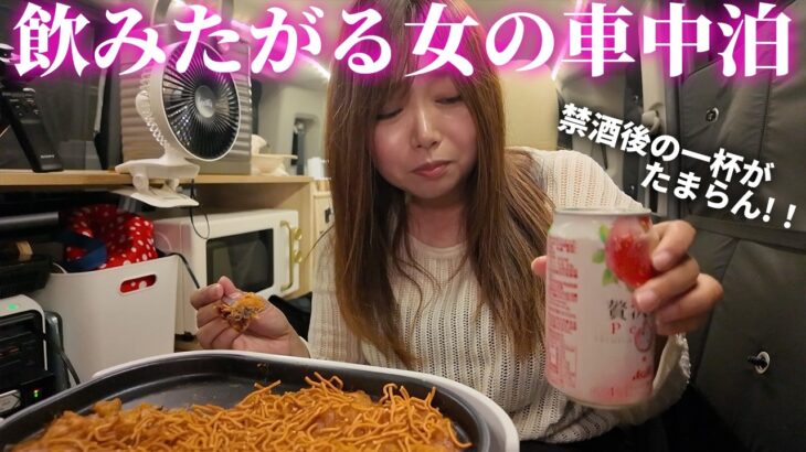 【女独り車中泊】まさかのベッド破損…急遽作った車内でほろ酔い居酒屋に【DJI Power 1000 Mini White】