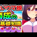 【ウマ娘】絶対に知っておきたい育成の基礎知識！デッキ例/ステータスの基本/因子/デッキの組み方/練習レベル/絆ゲージ/成長率【NottinTV ウマ娘攻略 育成理論】