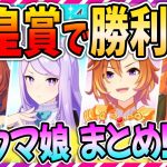 【ウマ娘 競馬】レース前に知っておきたい‼天皇賞で勝ったウマ娘まとめ‼【ゆっくり解説】