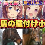 【ウマ娘】種付けを知ると100万倍面白くなる！【経験人数がヤバい】