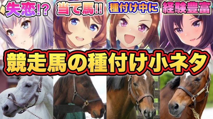 【ウマ娘】種付けを知ると100万倍面白くなる！【経験人数がヤバい】