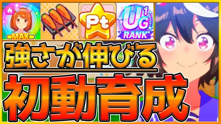 【ウマ娘】学ぶだけで変わる！全てを詰め込んだ初動育成！新シナリオでも強さを伸ばすために解説します‼トレーニング優先度,アイテムTier表,実際の育成を交えて徹底解説/育成解説/初心者向け【うまむすめ】