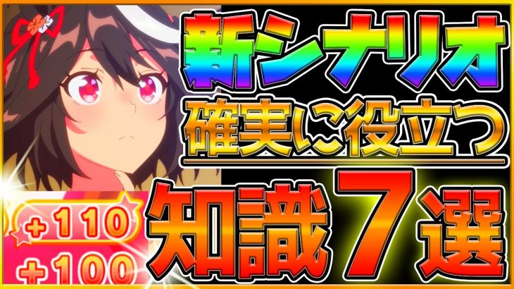 【ウマ娘】新シナリオで役立つ育成知識7選！上手く育てるためには重要な解説‼基礎から立ち回り概要まで紹介/トレーニングレベル/ショップ/新アイテム/アイテム使用方法/初心者でもわかる【うまむすめ】