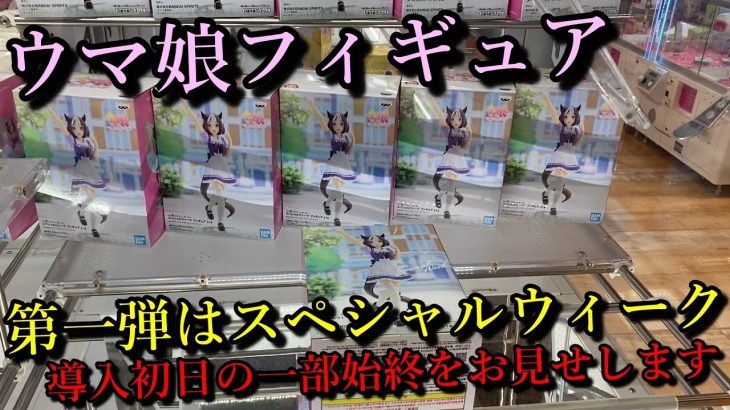 【ウマ娘】ついに待望のウマ娘フィギュアが登場！？第一弾のスペシャルウィークを取ってきましたので、導入初日の一部始終をお見せします。