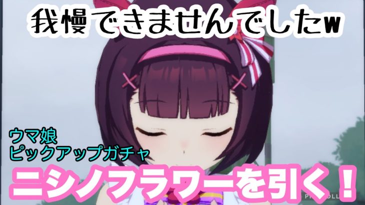 【ウマ娘】貯金（ジュエル）崩してニシノフラワーを引く！【ガチャ動画】