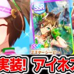 【ウマ娘】★3アイネスフウジン！SSRミスターシービー！実装キター！逃げ切りシスターズ/適正/史実/性能/ダービー馬/迫る影来る!? ほか【アプデ ウマ娘プリティーダービー サポカ 新ウマ娘ジュエル】