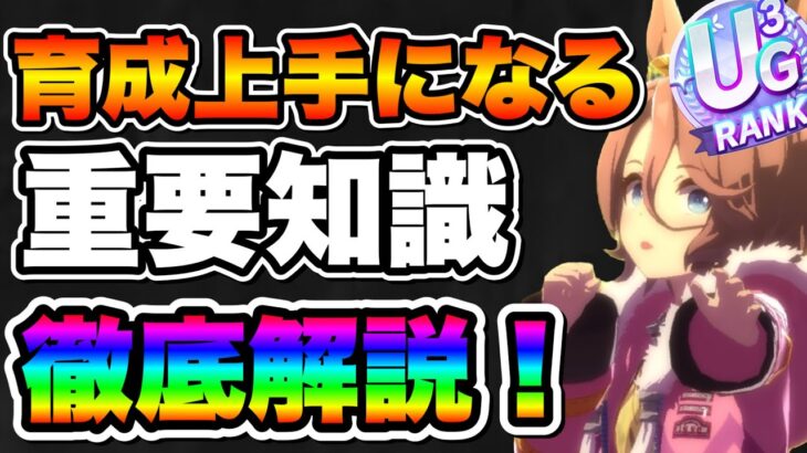 【ウマ娘】初心者・無微課金勢必見！高評価連発できる育成重要知識を徹底解説！！メイクラ　SSランク　UGランクを目指そう！【ウマ娘プリティダービー】