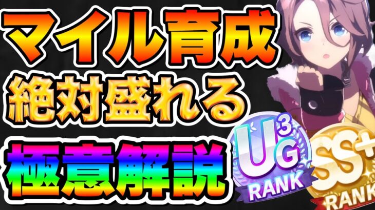 【ウマ娘】無微課金向け！チャンミ向けマイルウマ娘の育成のコツ！根性賢さ育成をマスターしよう！！サポカ編成や因子が地帯説【ウマ娘プリティダービー】