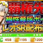 【ウマ娘】SR配布でここまで作れる⁉ “レオ杯勝てる先行育成論” 根性育成のサポカ編成 育成立ち回りポイント！タイキシャトル/オグリキャップ/チャンピオンズミーティング/微,無課金勢/初心者向け