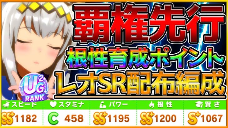 【ウマ娘】SR配布でここまで作れる⁉ “レオ杯勝てる先行育成論” 根性育成のサポカ編成 育成立ち回りポイント！タイキシャトル/オグリキャップ/チャンピオンズミーティング/微,無課金勢/初心者向け