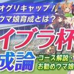 【ウマ娘】ライブラ杯育成論〜チャンミ17冠の独り言〜《育成方針｜おすすめスキル｜おすすめウマ娘｜デバフ対策｜コース解説など｜ウマ娘プリティーダービー｜チャンピオンズミーティング》